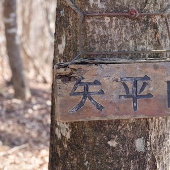 ここがきつかったー。
ここでガツンと標高上げて下げた。