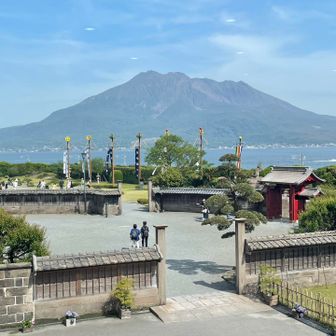 せせくし君