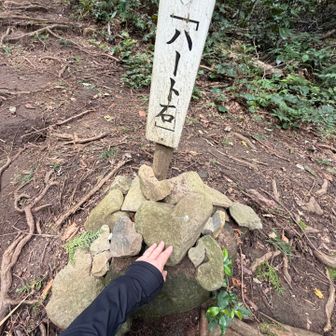 帰りは
ハートにタッチ❤️