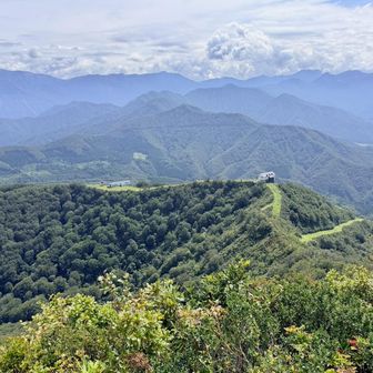 岩原スキー場の頂上方面。