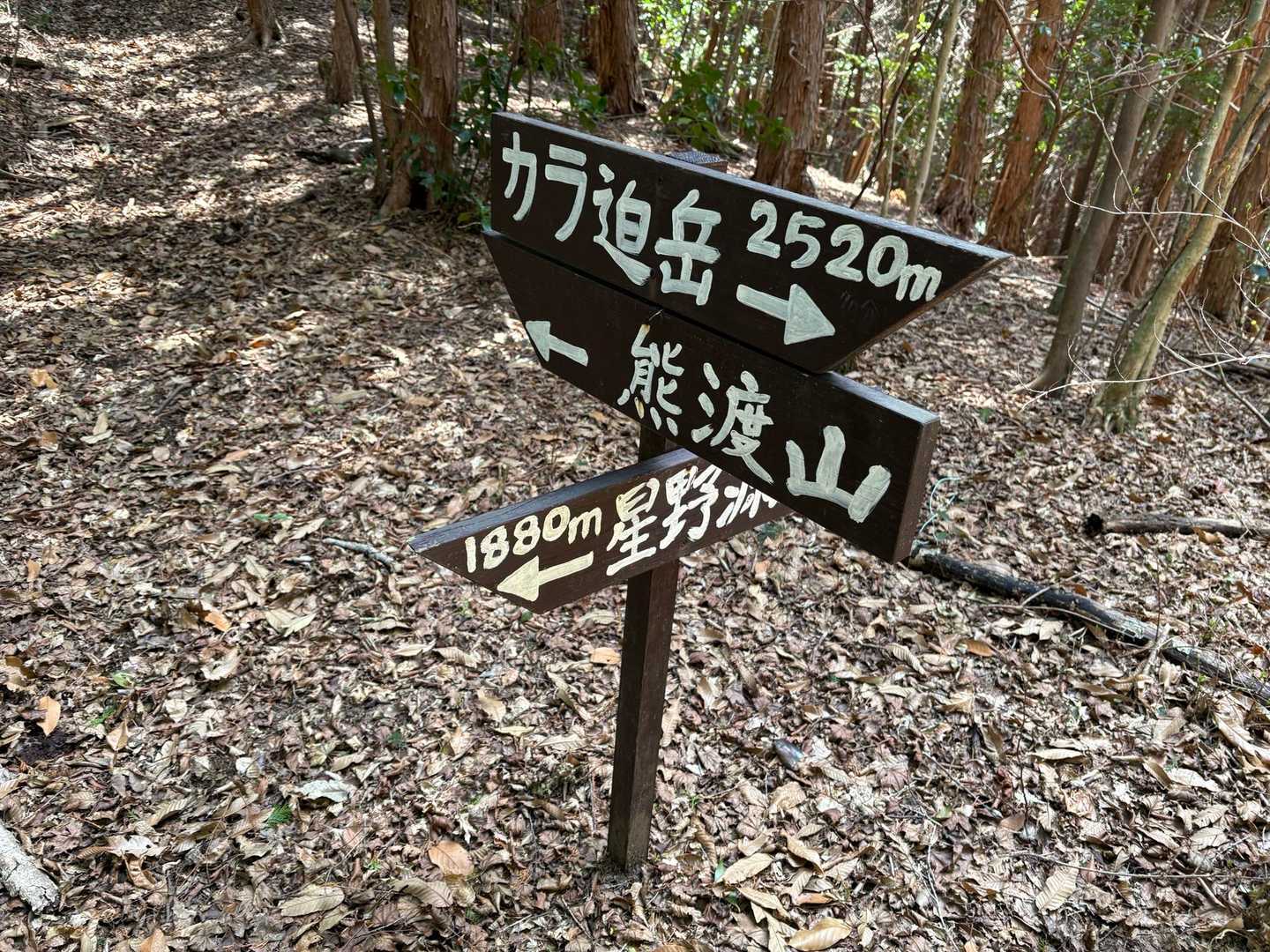 林道へ出る分岐。
こちらから周回もありの様ですが、女性二人はピストン希望😊
硬い道苦手なのは私だけじゃなくて良かった😉