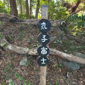 漸く本日一座目ですかが、ここが富士で富士山が見える訳ではありませんでした