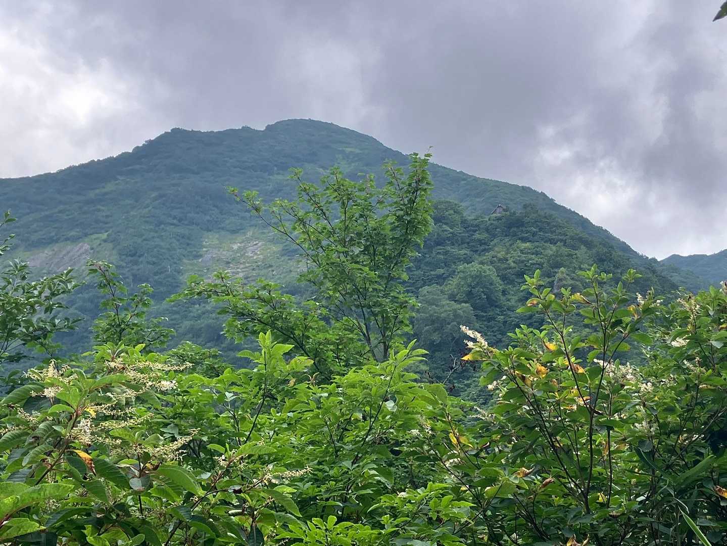 浅草岳-八海山ロープウェイ 山頂駅 往復コースの写真