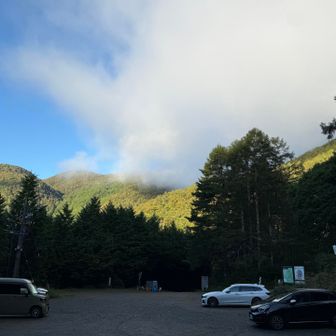 入笠山の沢入登山口🅿️
8月下旬から続く長雨からの、久しぶりの晴れ日☀️

山野草がどのくらい影響を受けているか心配です😞
