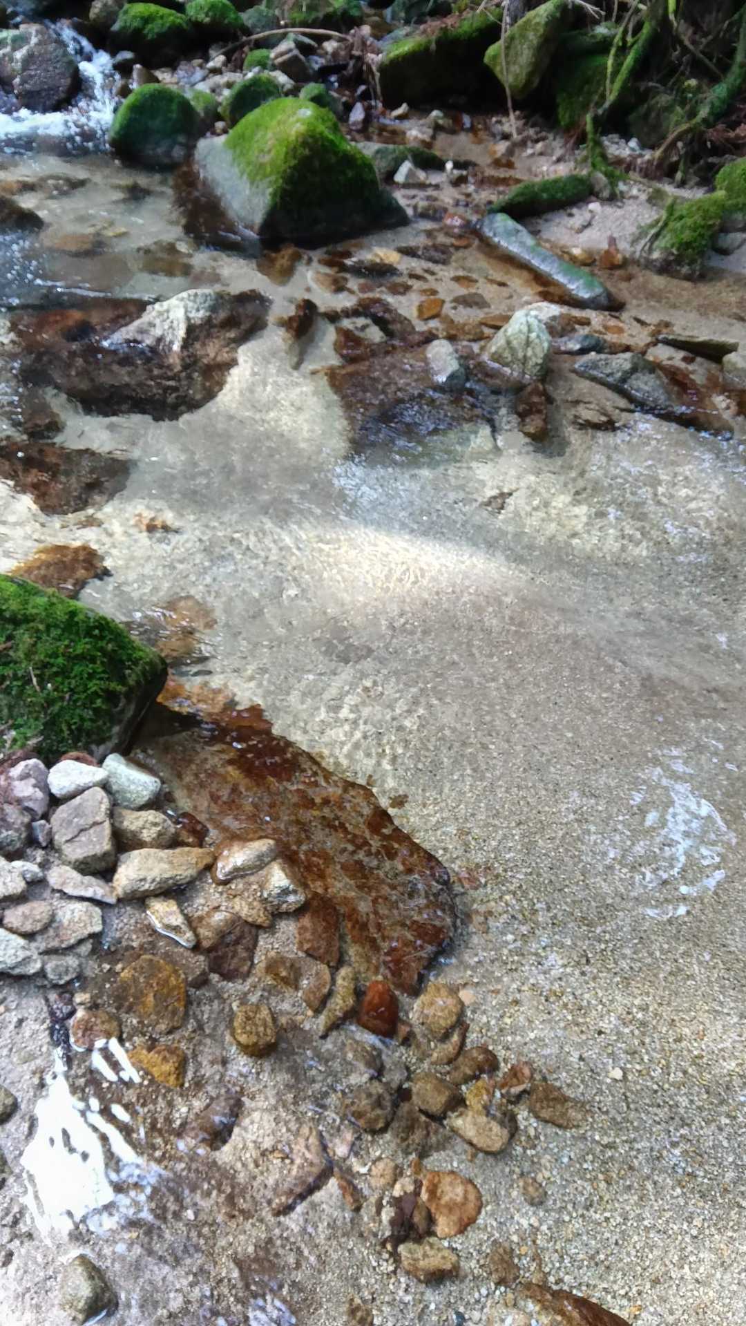 急坂を下ると綺麗な沢水が流れています!