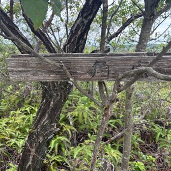 三角点の表示板