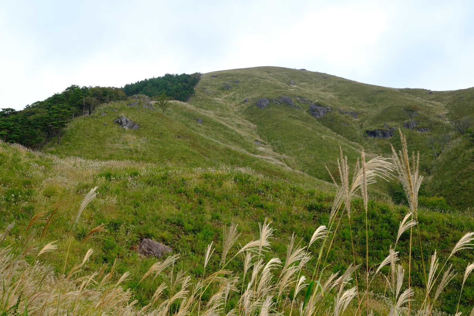 南登山口-深入山 周回コースの写真