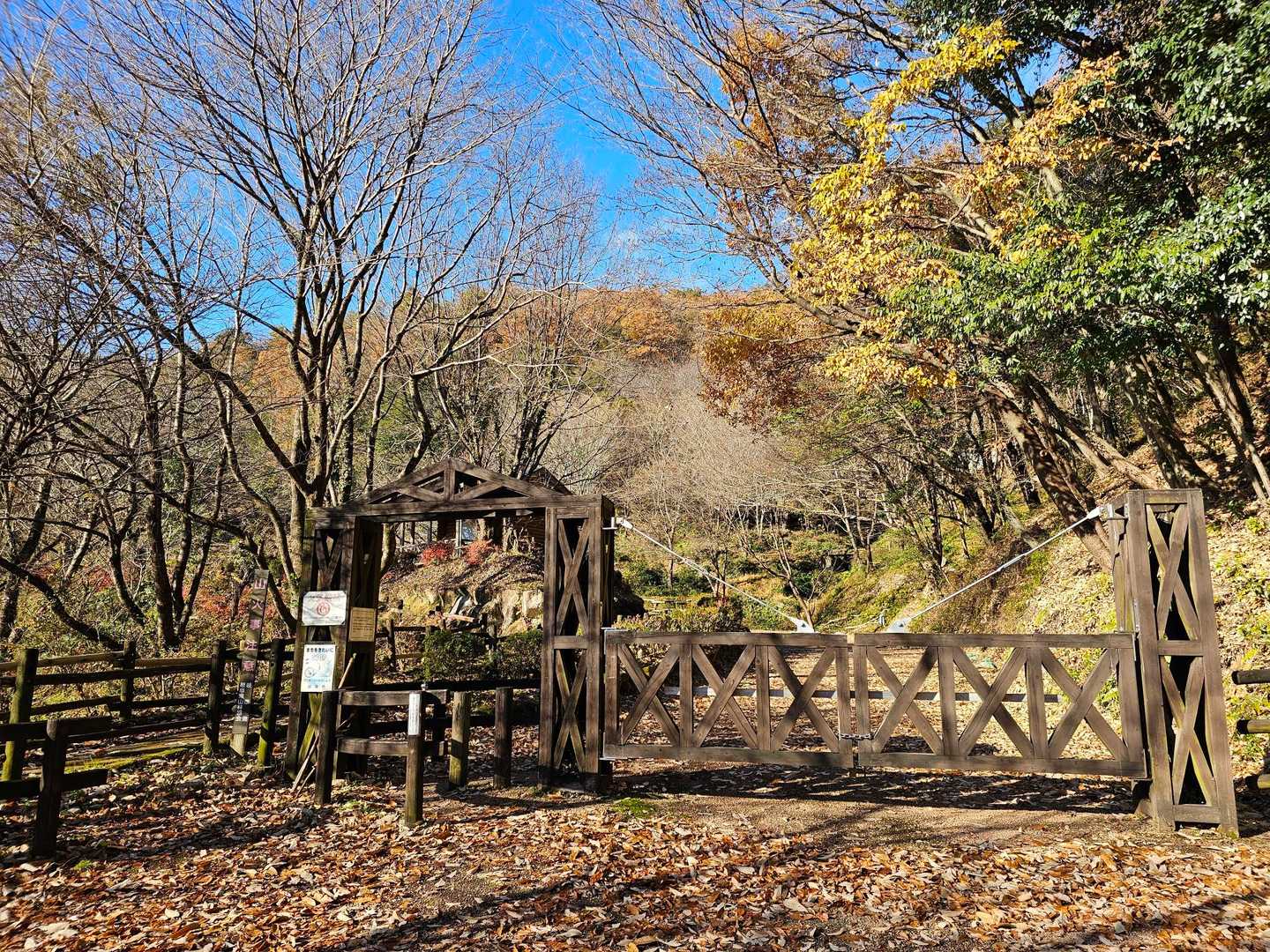 古津山登山口から百々ヶ峰⛰️にスタート🙋
