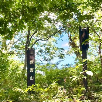 要害山到着
