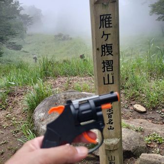 人には会わず熊に会いそうなので、熊鈴、電子ホイッスル、火薬銃、ラジオと総動員🤣🤣🤣