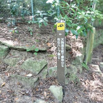 市ケ原入口の公衆トイレから少し歩いて、分岐を右に
