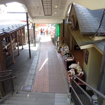 こま参道は開店していました。
昔ながらのおみやげ屋さんみたいで、かるくエモいです