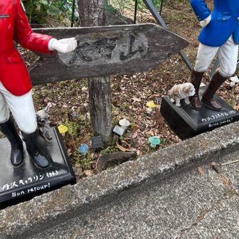 名前おしゃれすぎる💃