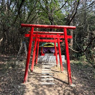 山頂にお稲荷さん