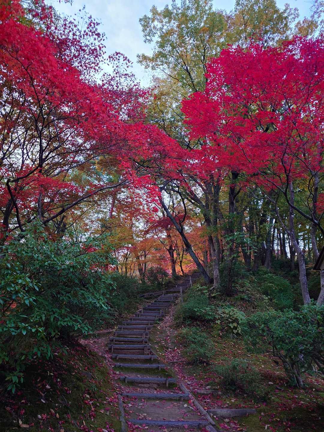 長泉寺山 往復コースの写真