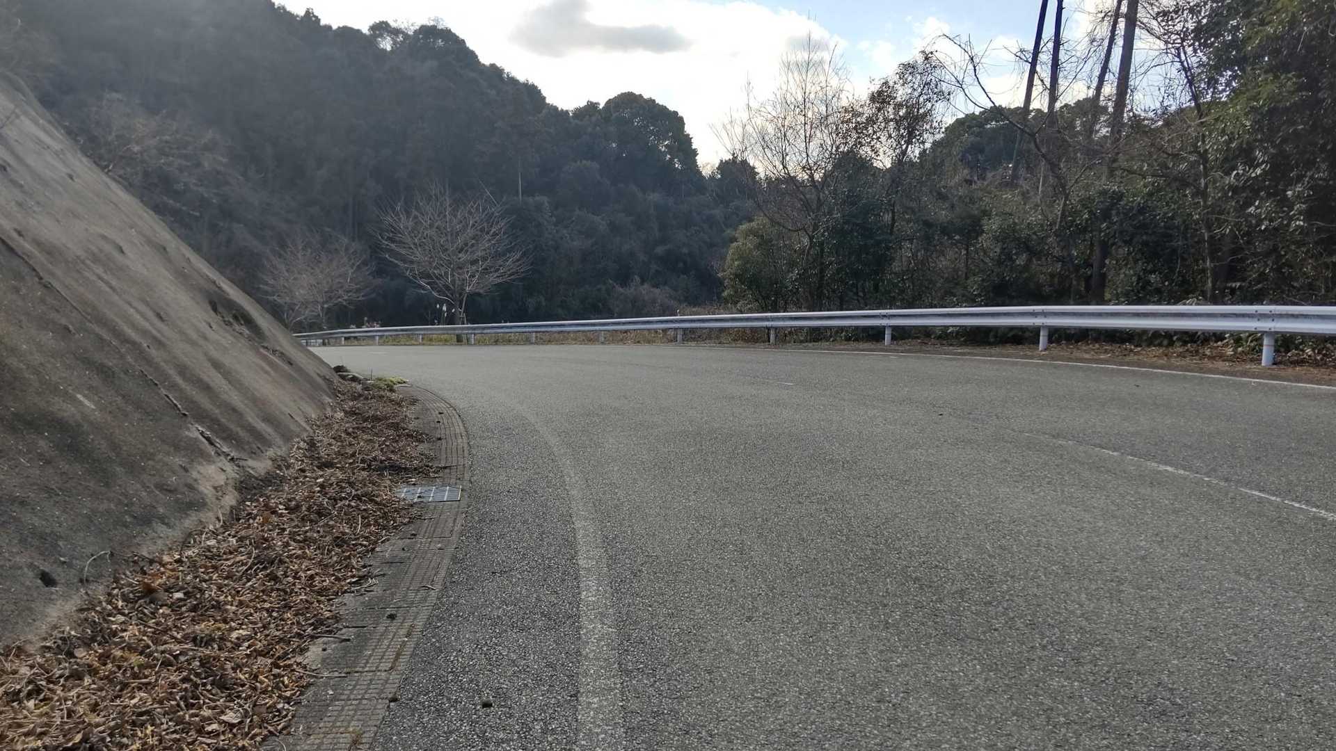 迷走して、道路に出て…