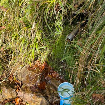 ここの水場は
水量もあり
冷たくて気持ちいい