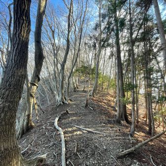 篭岩山へのビクトリーロード

