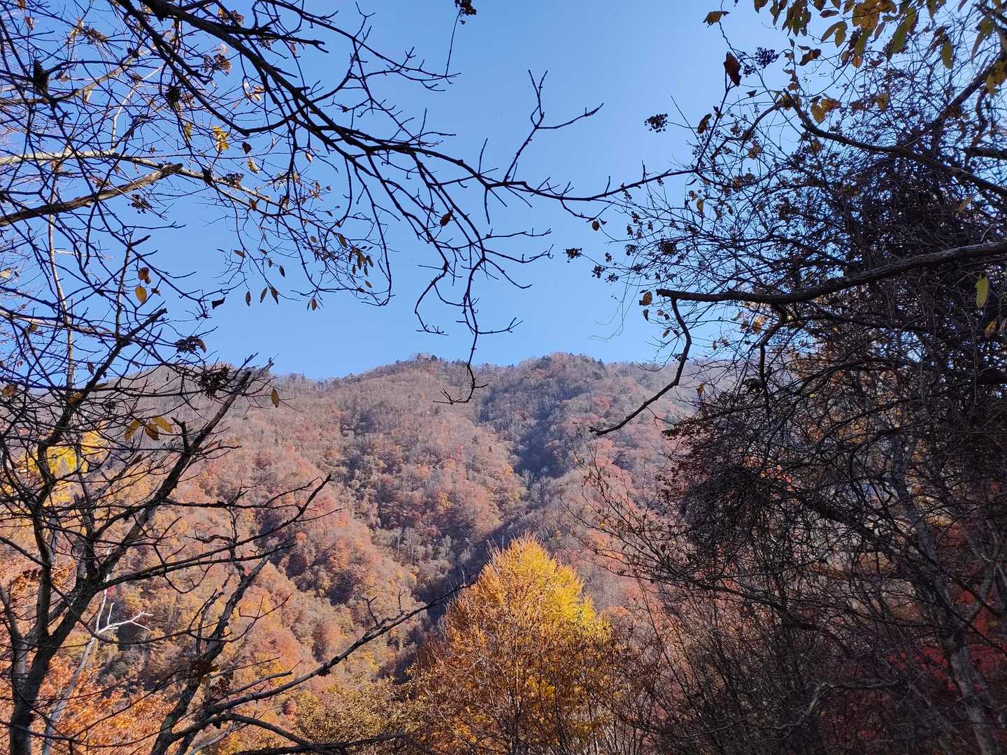 山も綺麗✨