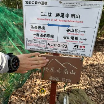 まずげっと　スタートから50分　良いペース