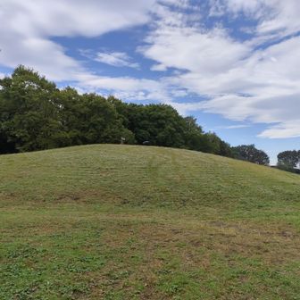 武蔵野公園のくじら山
山名標識もありました