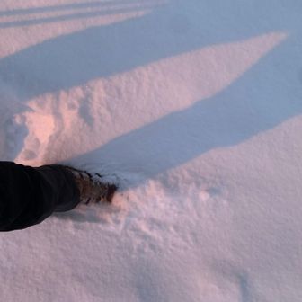 積雪はこのくらい