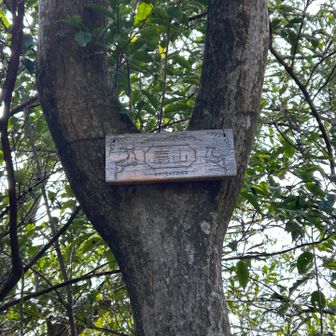 通り道に登頂❗️