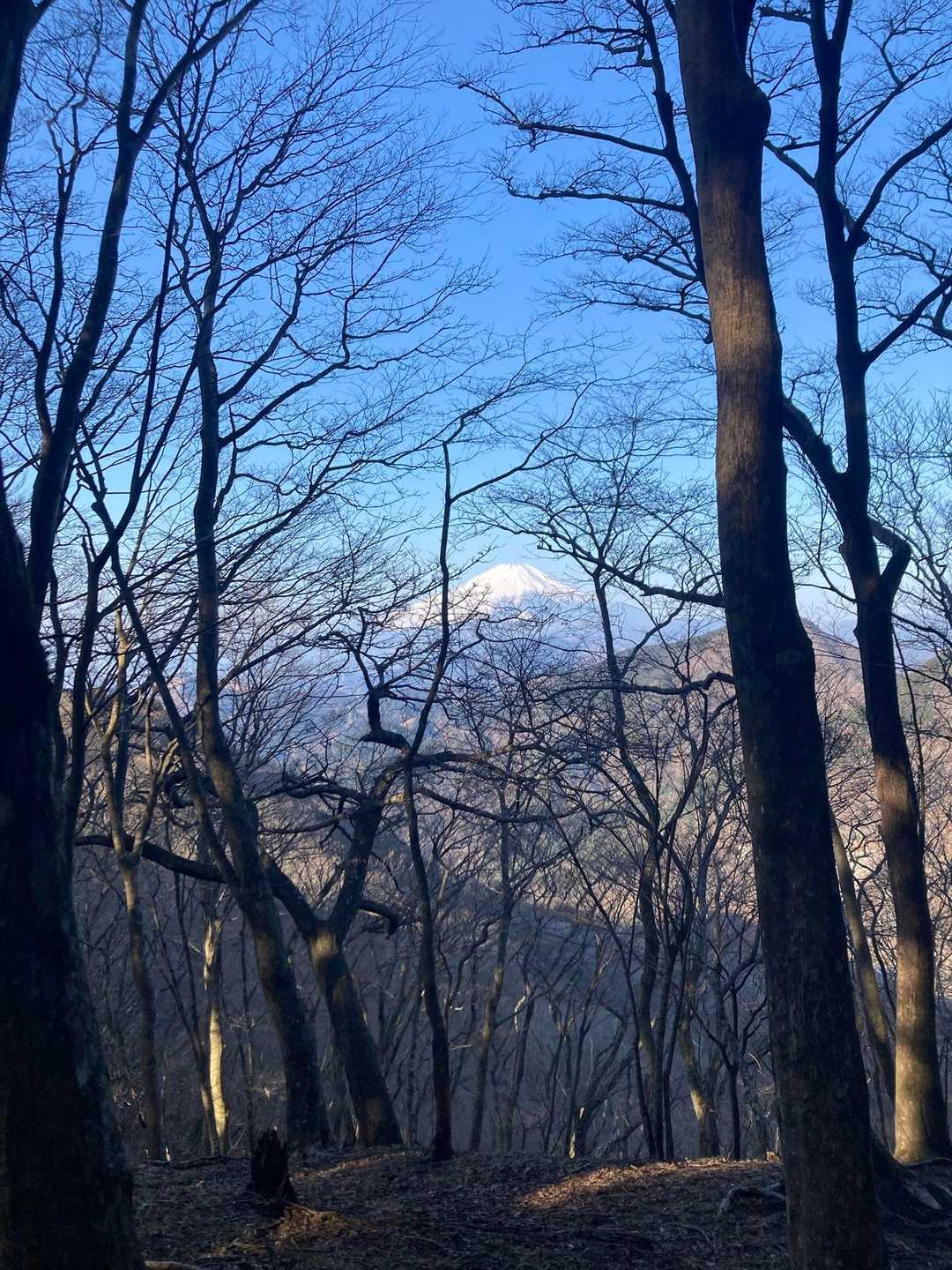またまた富士山 ~
冬は隙間から見えるのね👍