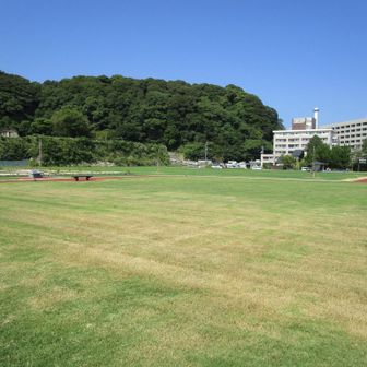 三ノ丸跡が整備されてます。