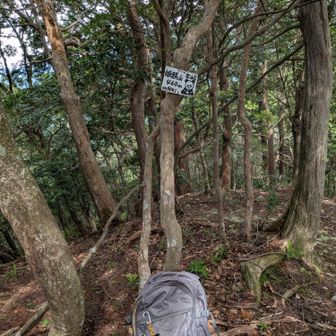 ピーク手前の急傾斜を攣りそうになりながら何とか上って💦「姫越山・北峰」に到着🎉