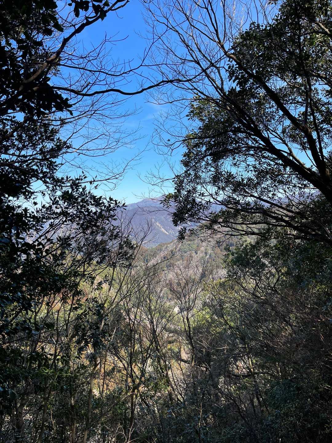 山頂からの景色