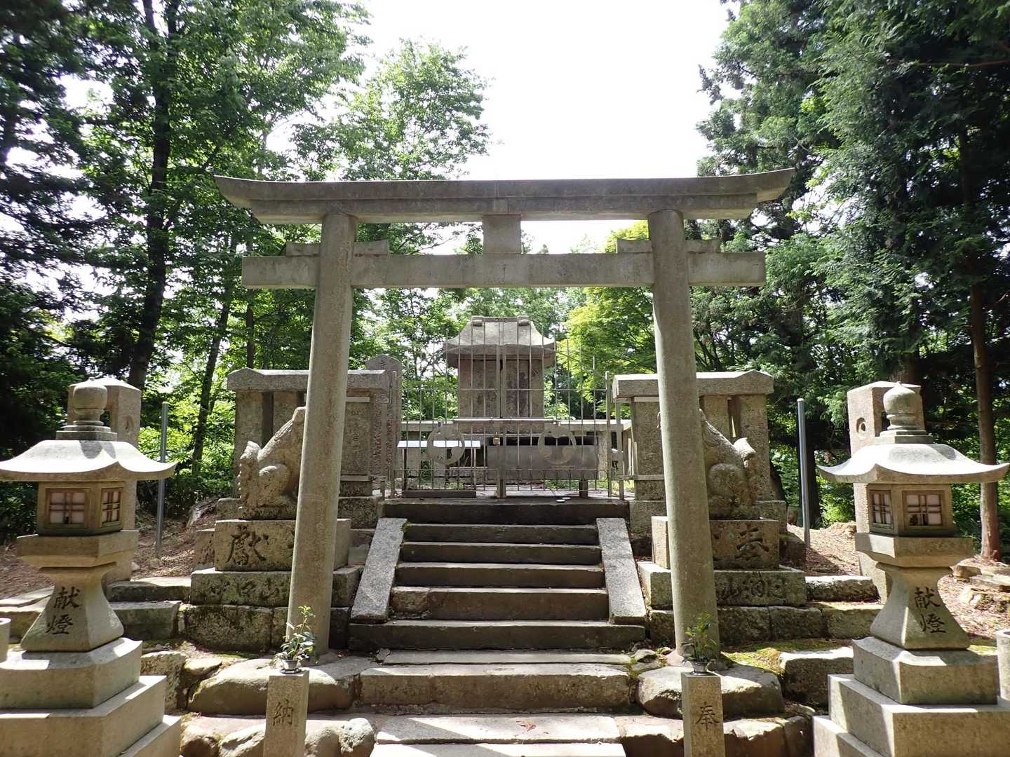 葛城山 往復コースの写真