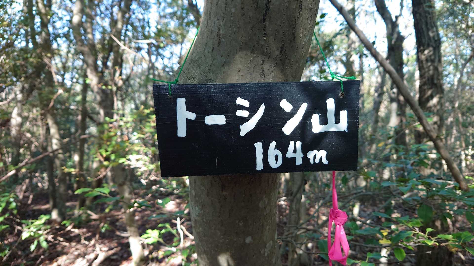 トーシン山山頂⛰️

お墓から尾根まで若干急登です😀