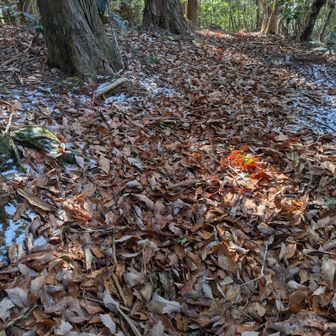 ほんの少し、雪