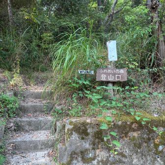 駐車スペース向かい側すぐ登山口