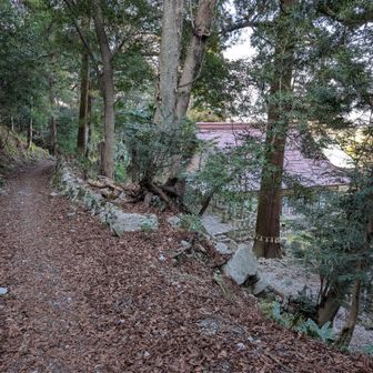 お寺のとこまで下りてきた