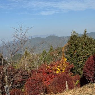 中央奥の山は三郡山。またもや汗ビッショリ！
早めの昼食休憩。