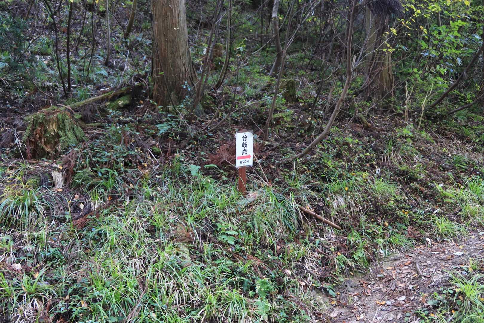 大空山-富栄山 往復コースの写真