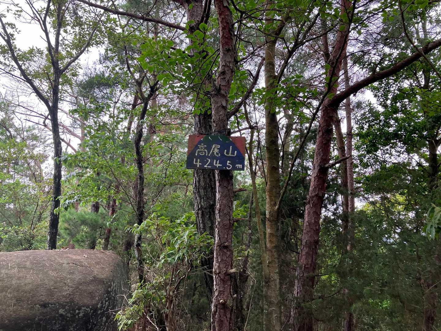 水分神社登山口-岩谷観音跡-高尾山-呉娑々宇山 周回コースの写真