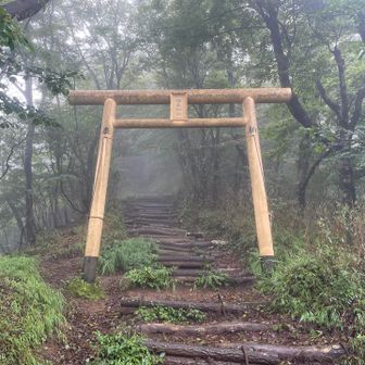ここから金時山へ登ります🪓