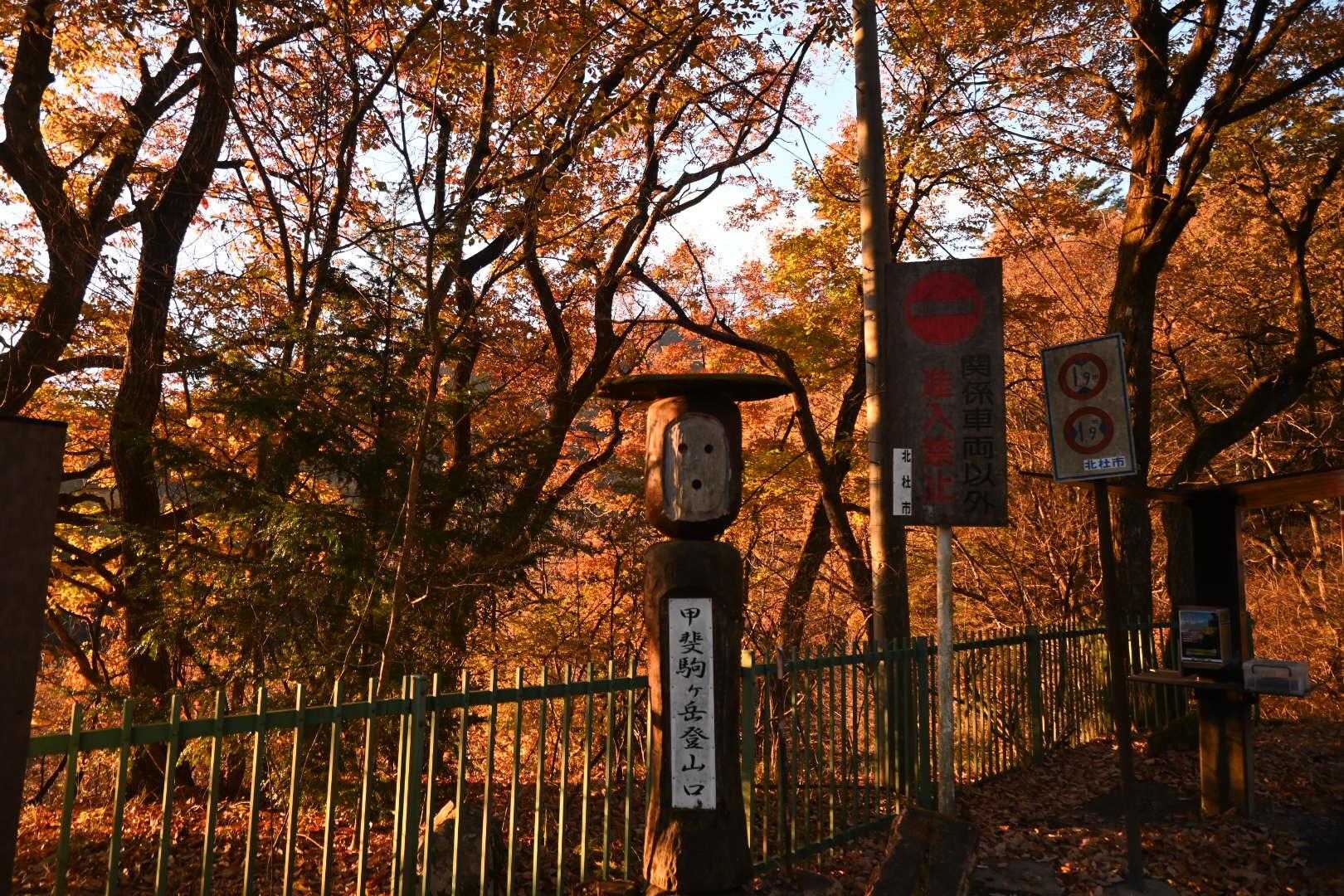 尾白川渓谷-矢立石登山口-日向山-鞍掛山 往復コースの写真