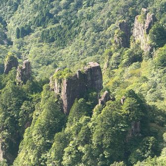 上から見下ろしてるけど、吉野の山はやっぱ凄いわ