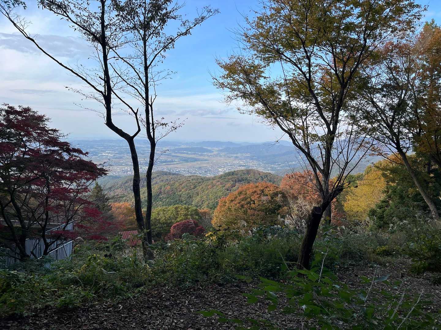 キャンプ場からの眺め👍