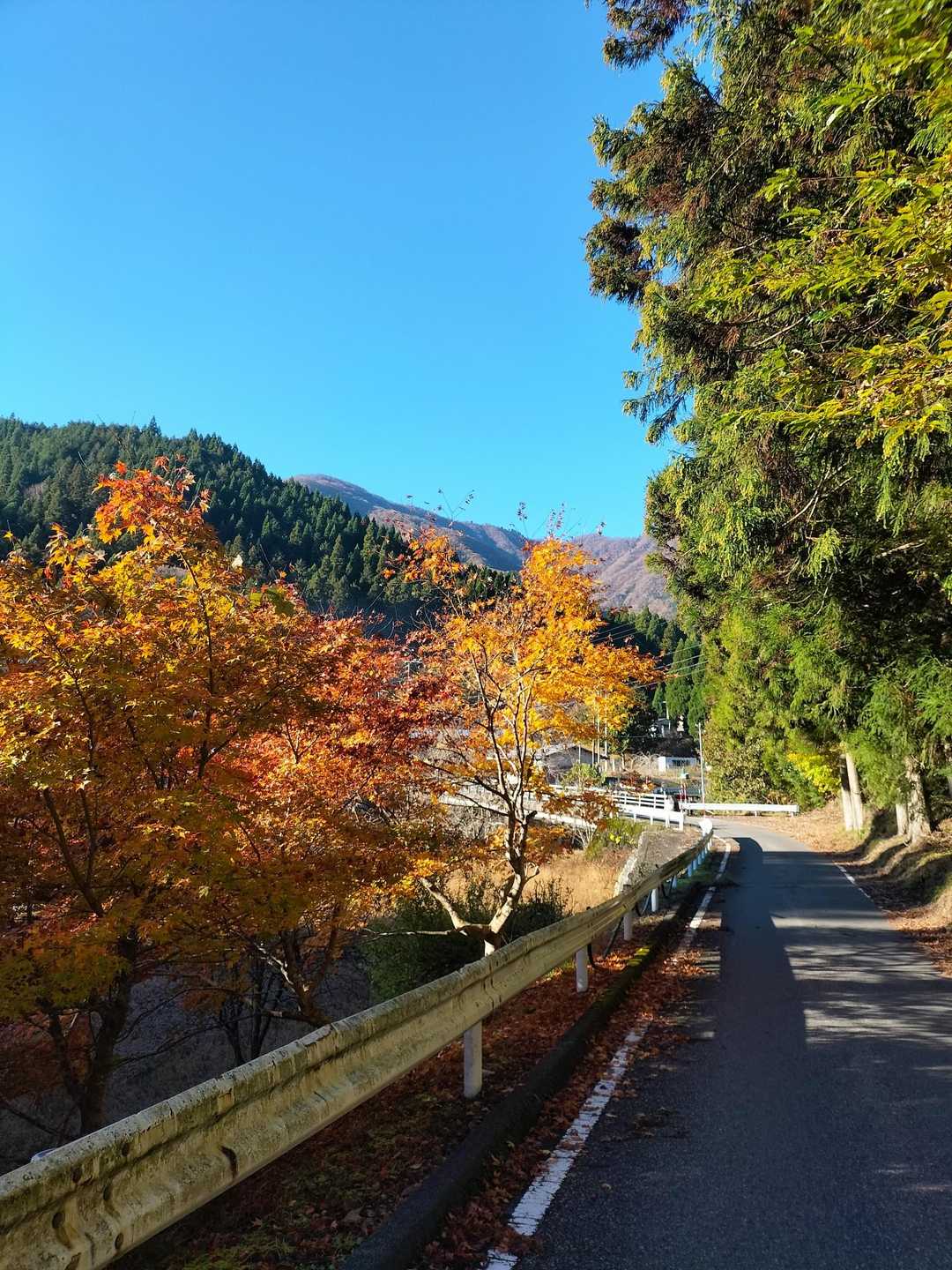 場面は変わり、雷倉の麓にやってきた。路肩に車を停めて歩き出す💨