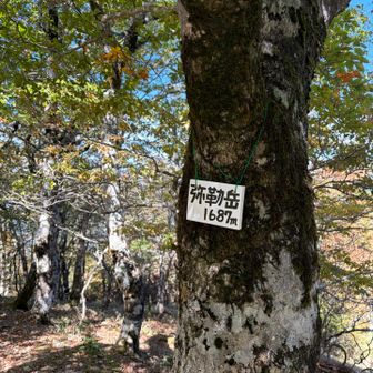 救助ヘリでしょうか？
水太谷の低いところでホバリングしてました。

ここで引き返します。