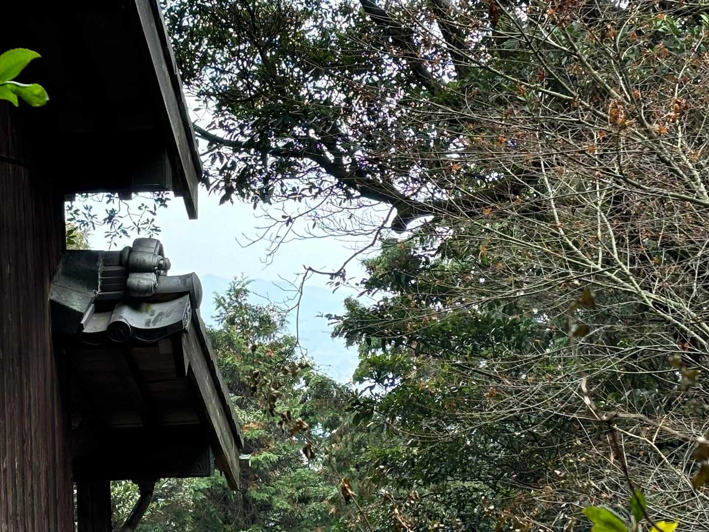 この辺りから富士山の頭が見えるらしい
今日は残念😢
