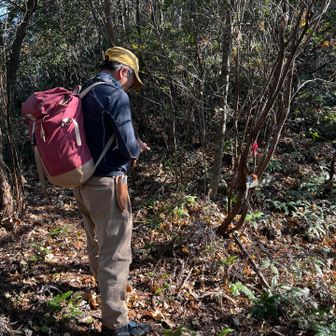 ようやく三谷山の分岐の稜線に出た✌️
これでなんとか生還できる😮‍💨
せっかくなので、三谷山へ立ち寄ります。
