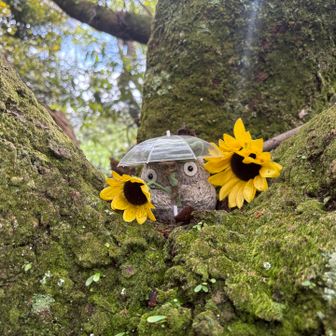 ひまわりトトロ、次はどんな装いになるのかな