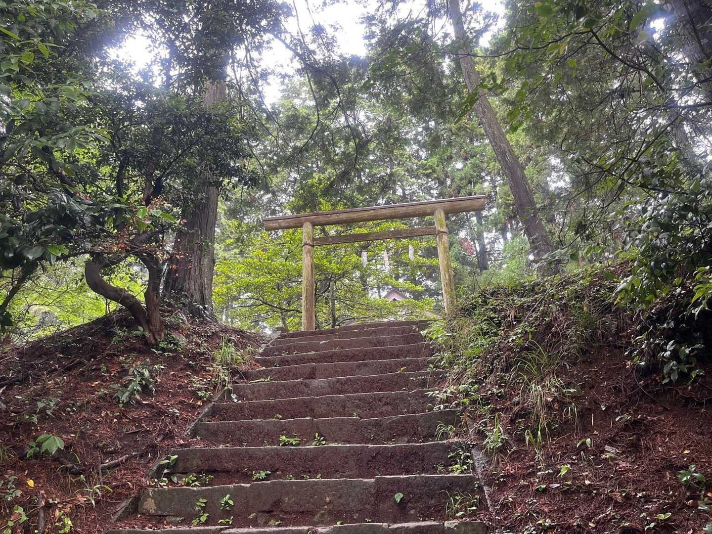 琴平神社