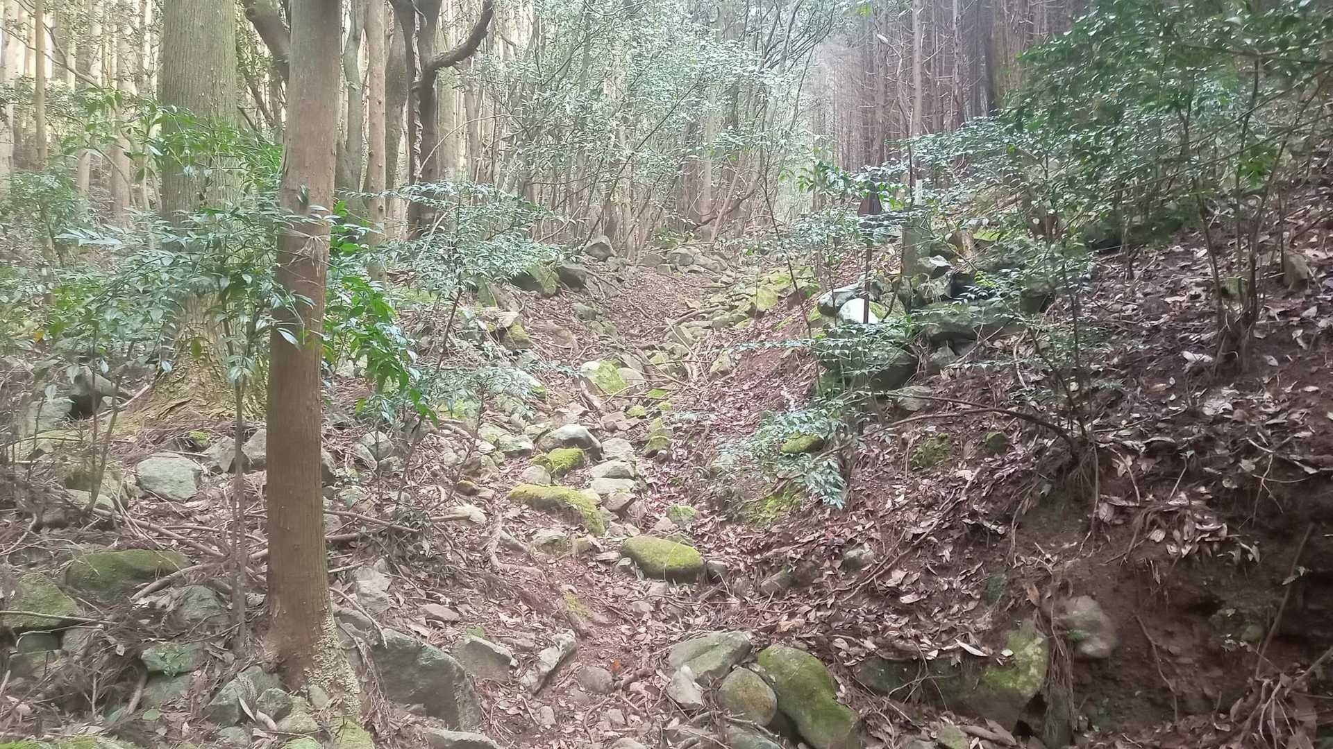 歩きにくいゴツゴツのプチ谷コース